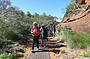 1 Day Palm Valley 4WD Adventure